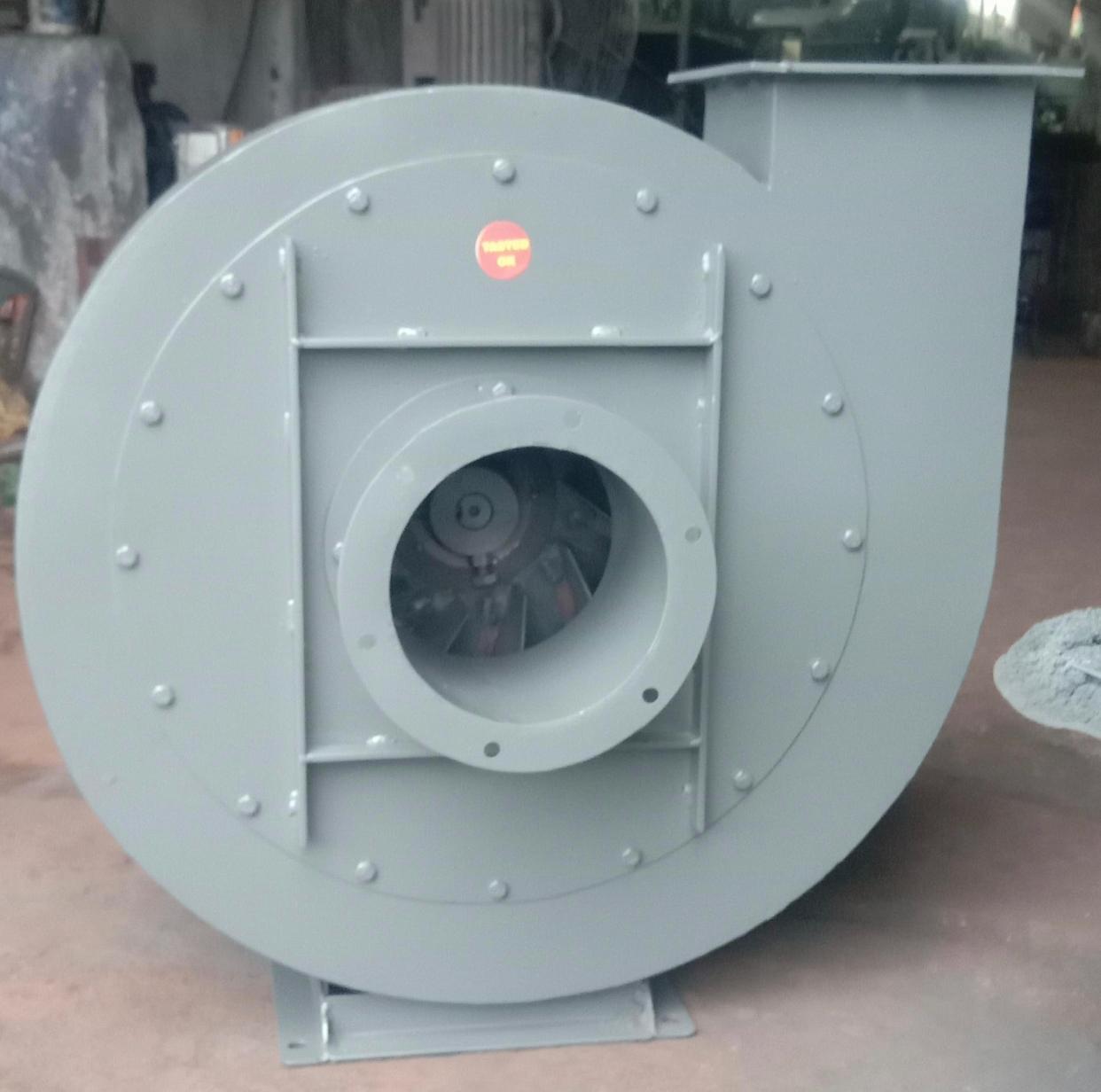 WhatsApp Image 2026-01-24 at 22.53.21